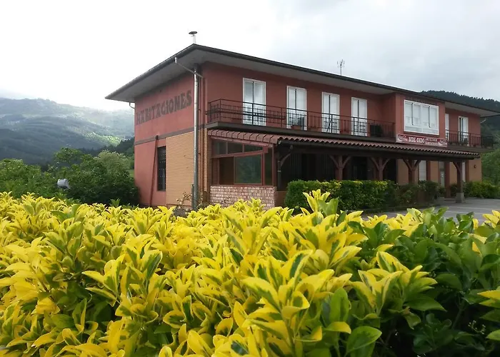 Bide-ondo Pensión Amorebieta - Etxano